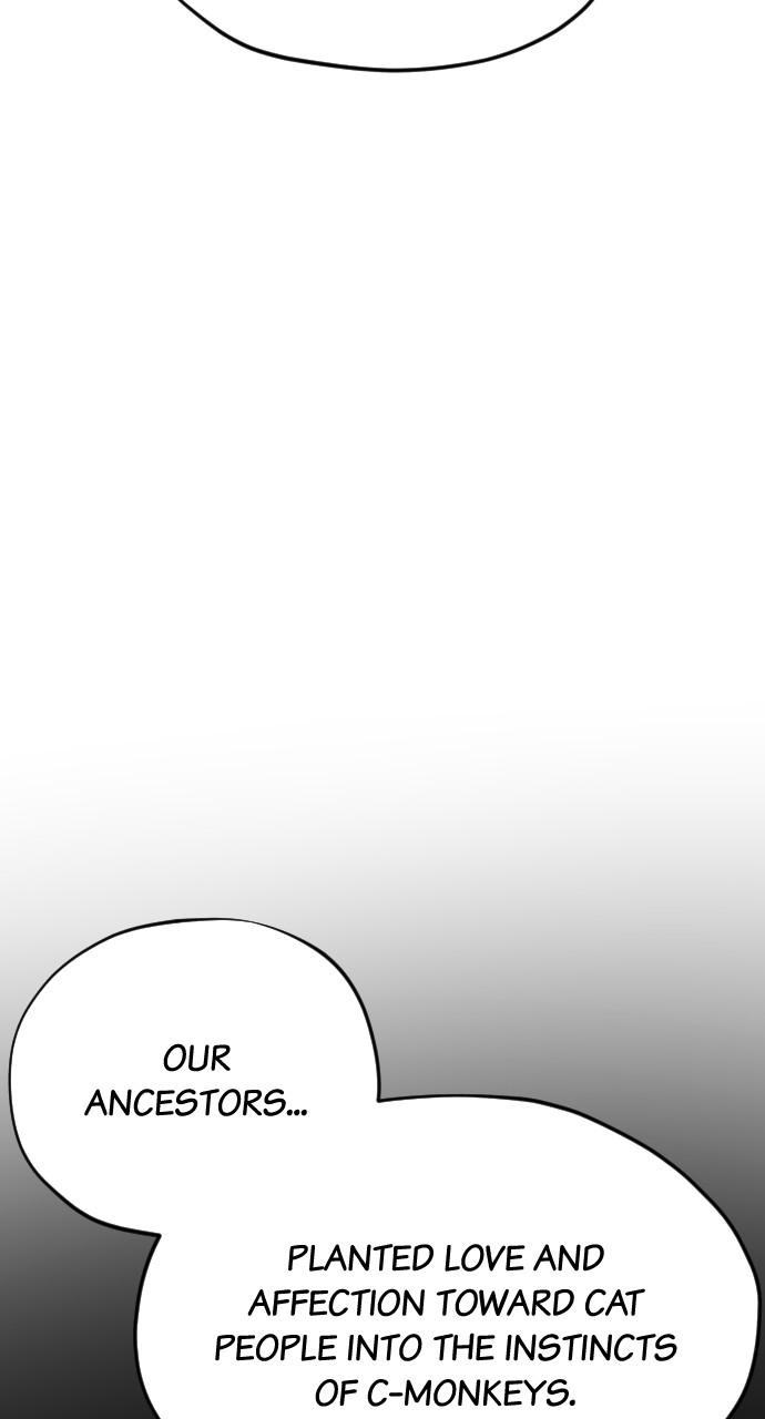 Read Meow Rangers Manga Online