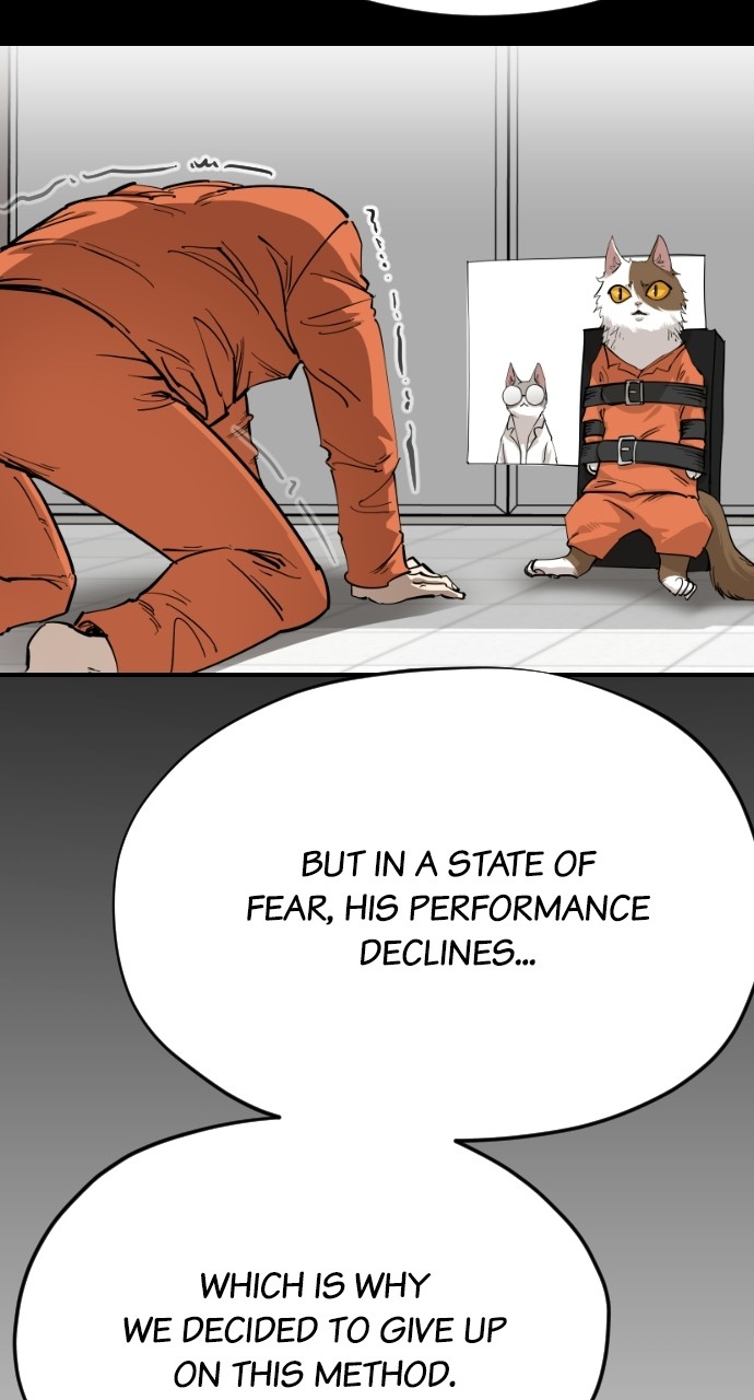 Read Meow Rangers Manga Online