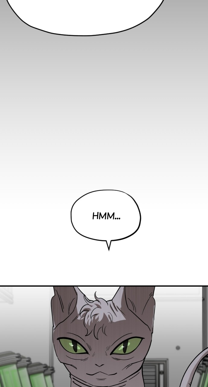 Read Meow Rangers Manga Online