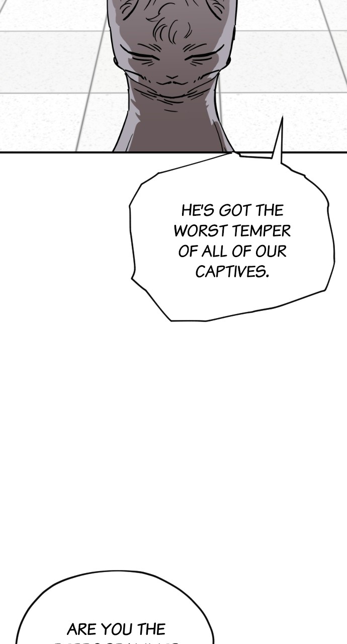 Read Meow Rangers Manga Online