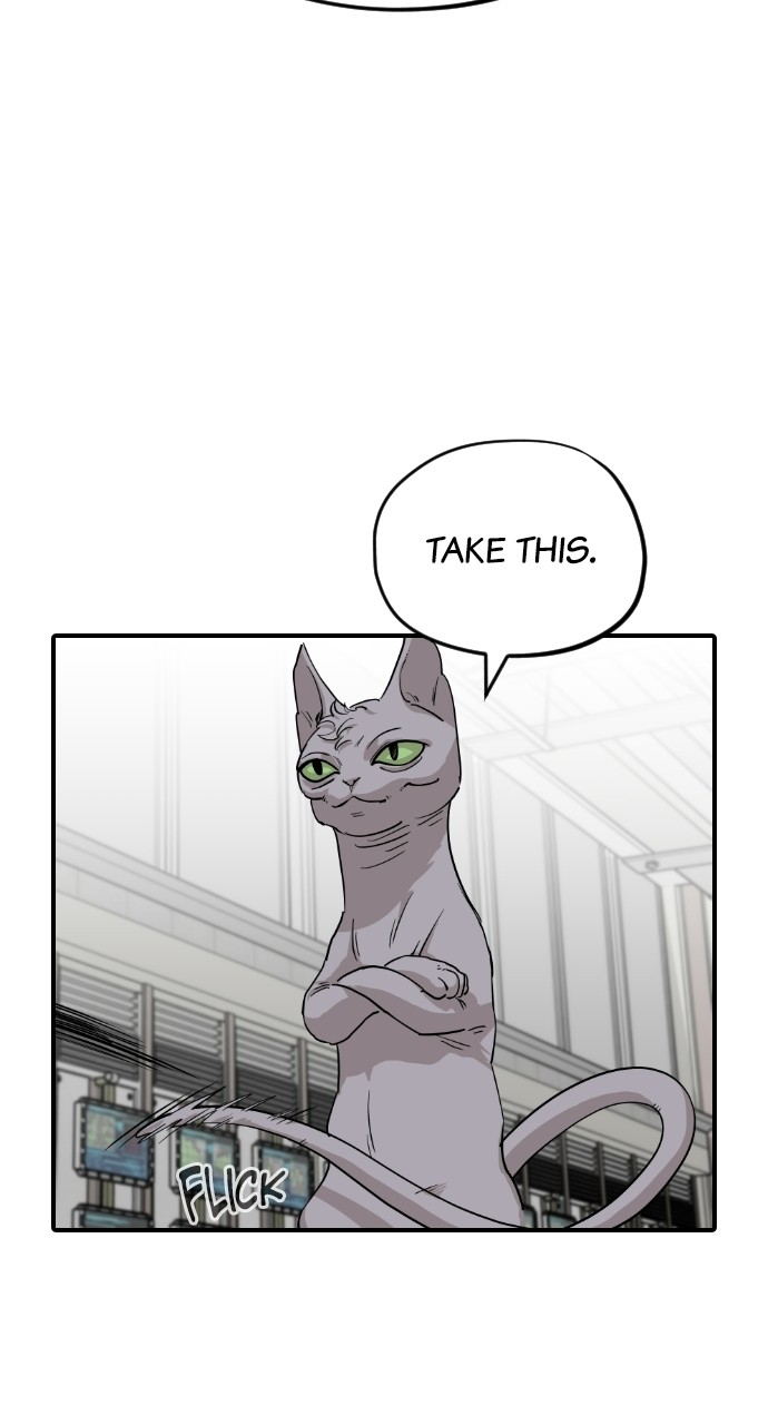 Read Meow Rangers Manga Online
