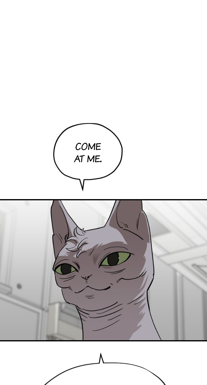 Read Meow Rangers Manga Online