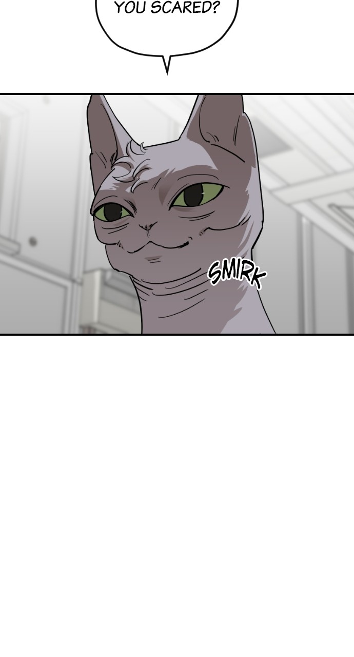 Read Meow Rangers Manga Online