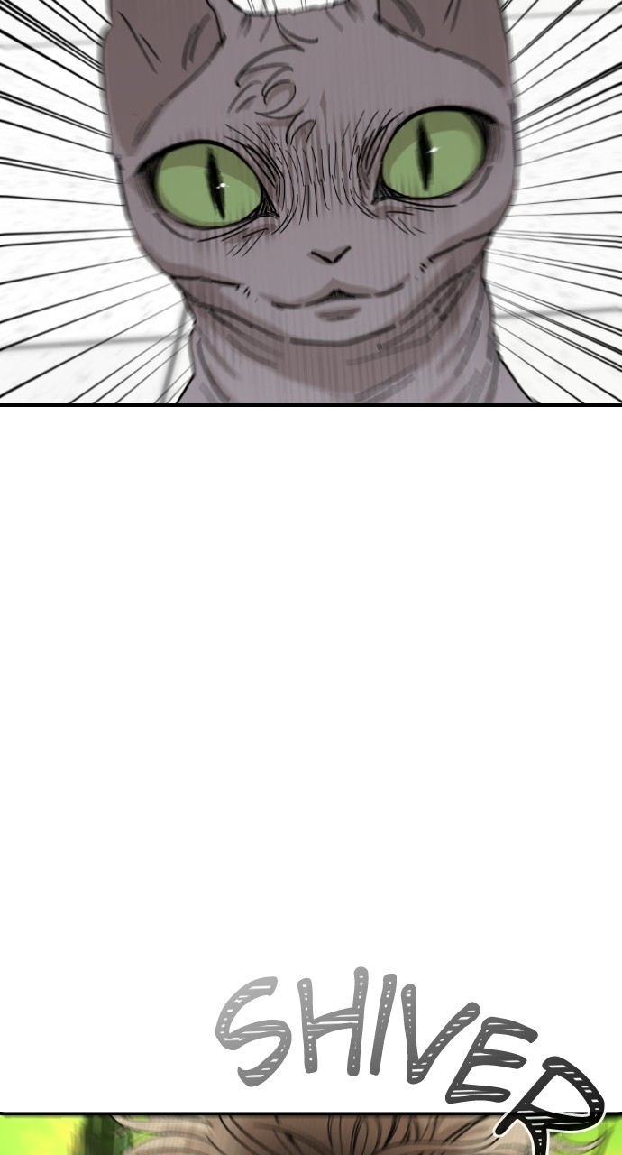 Read Meow Rangers Manga Online