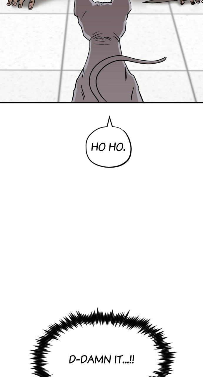 Read Meow Rangers Manga Online