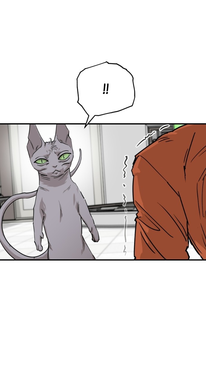 Read Meow Rangers Manga Online