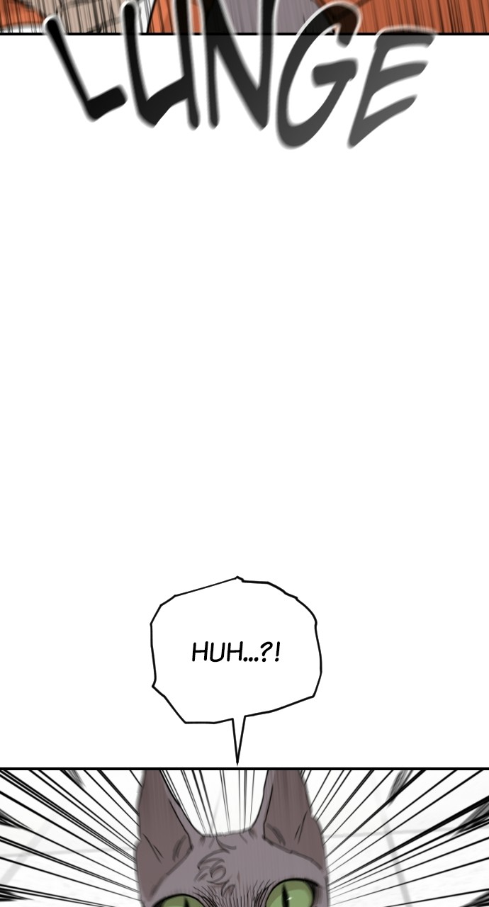 Read Meow Rangers Manga Online