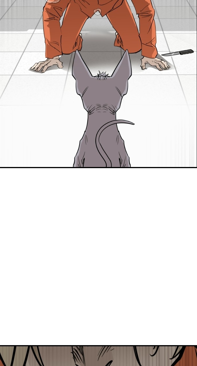 Read Meow Rangers Manga Online