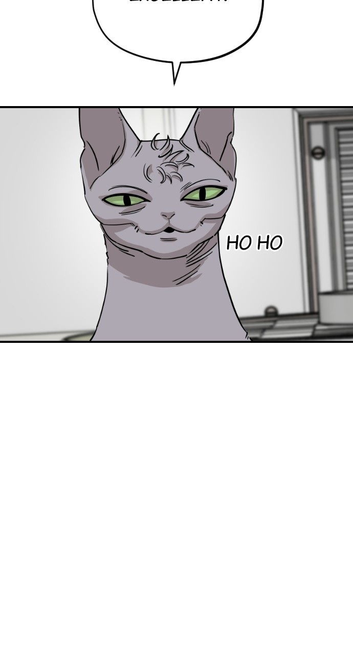 Read Meow Rangers Manga Online