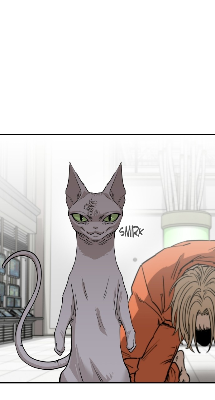 Read Meow Rangers Manga Online