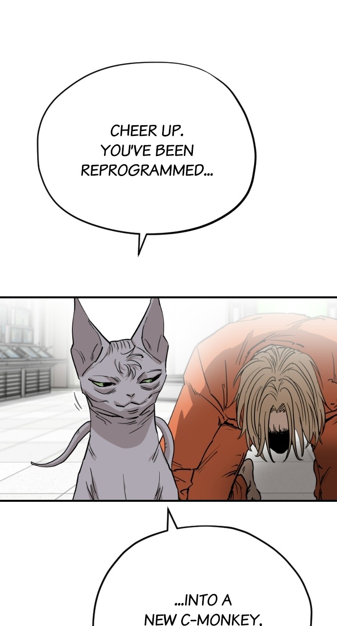 Read Meow Rangers Manga Online