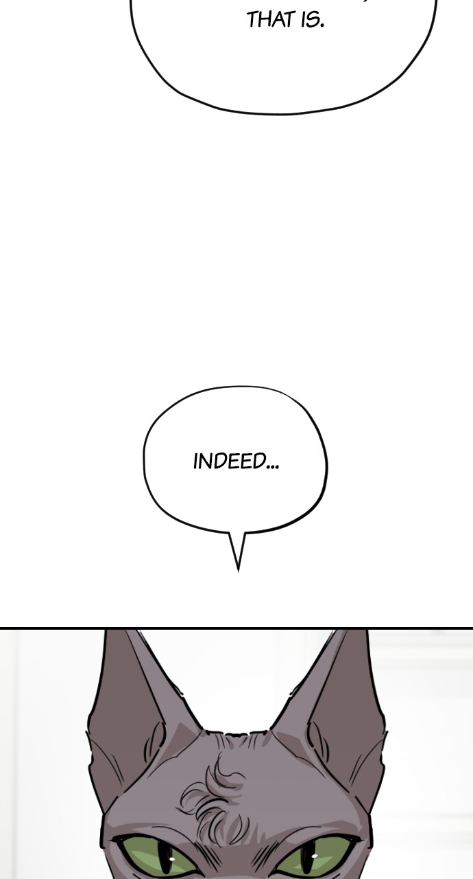 Read Meow Rangers Manga Online
