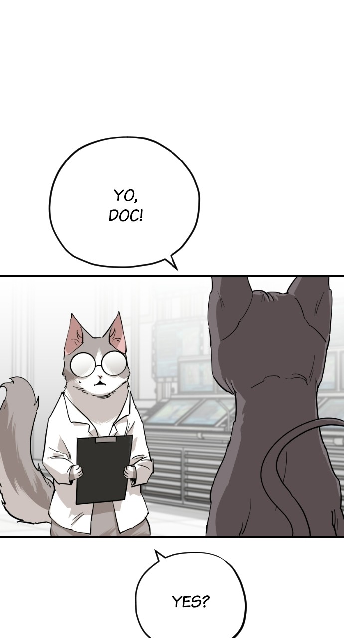 Read Meow Rangers Manga Online
