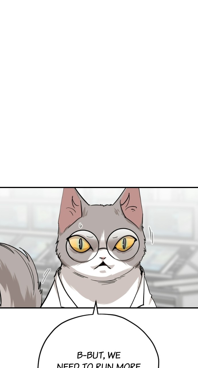 Read Meow Rangers Manga Online