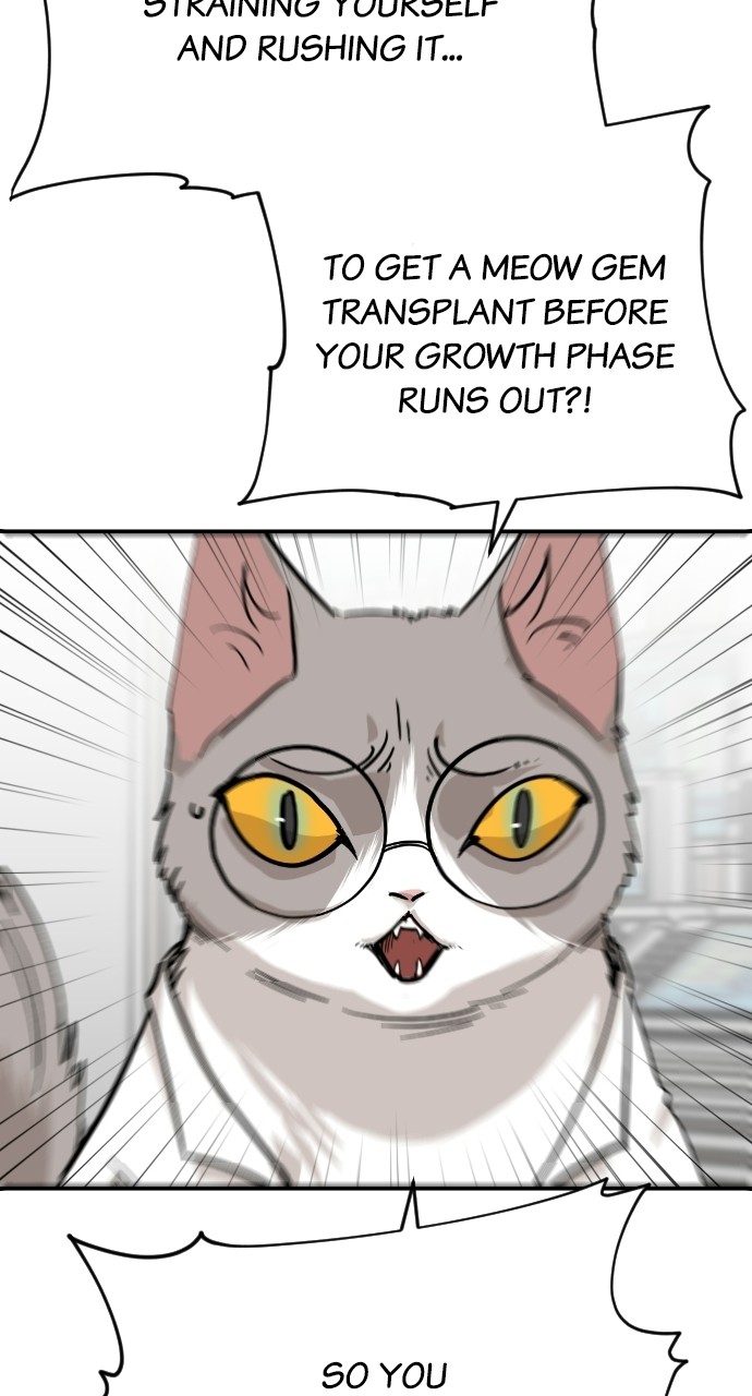 Read Meow Rangers Manga Online