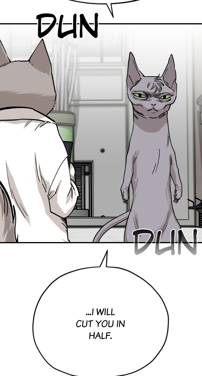 Read Meow Rangers Manga Online