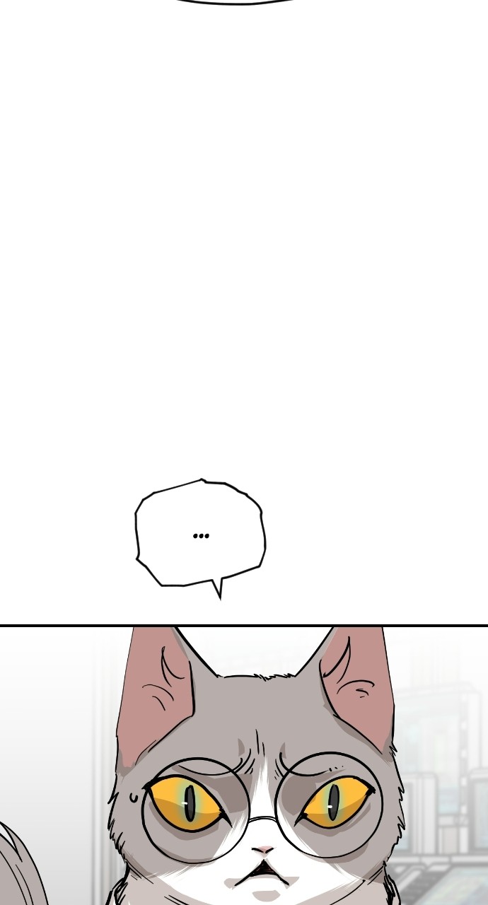 Read Meow Rangers Manga Online