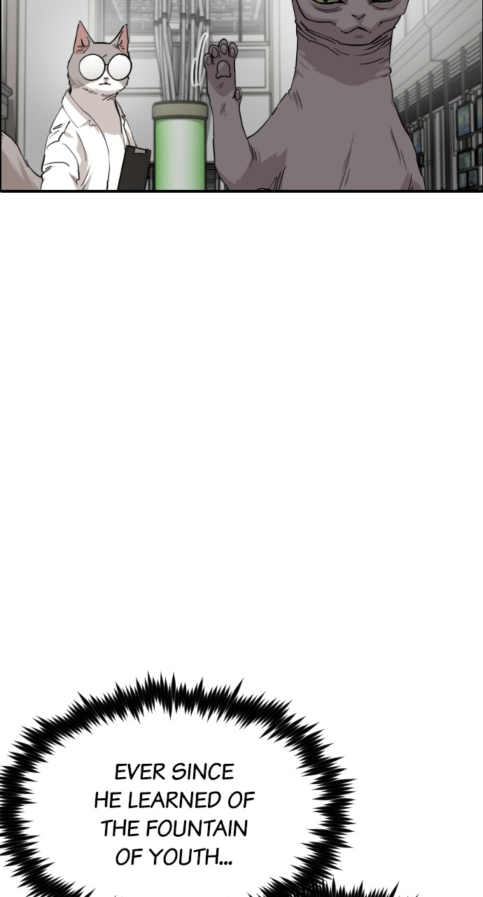 Read Meow Rangers Manga Online