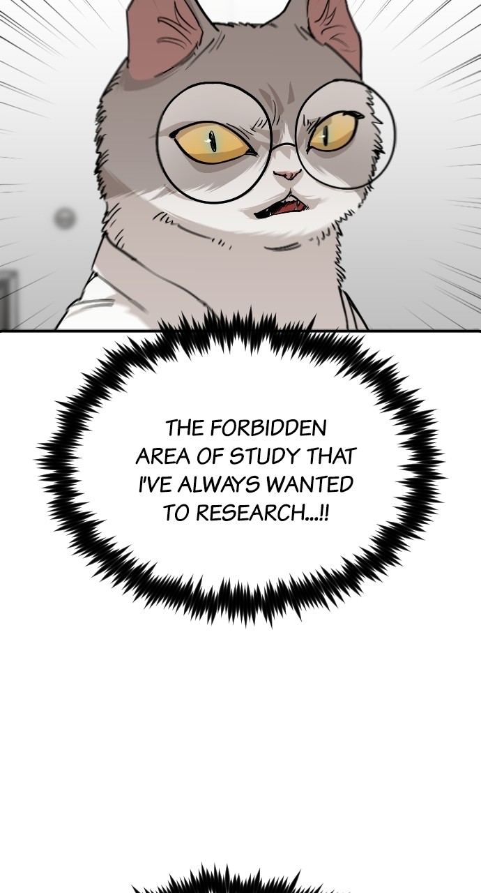 Read Meow Rangers Manga Online