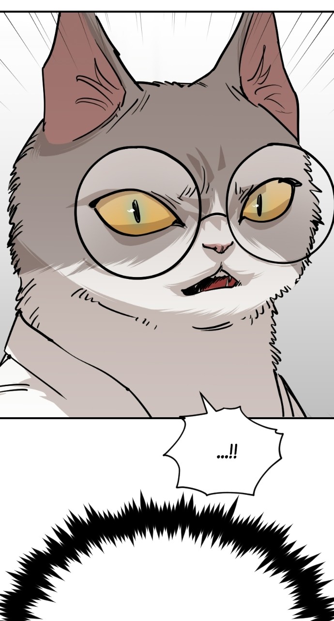 Read Meow Rangers Manga Online