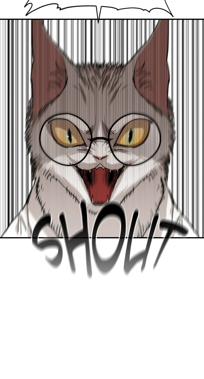 Read Meow Rangers Manga Online