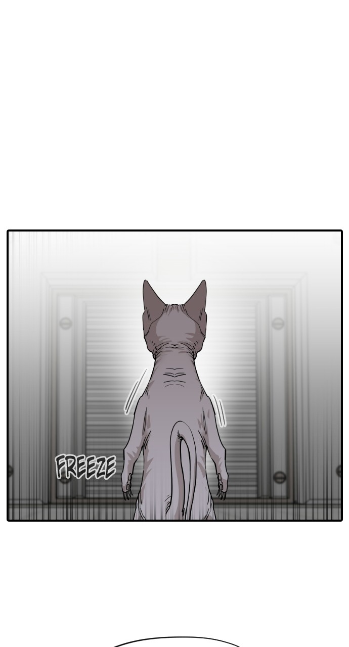 Read Meow Rangers Manga Online