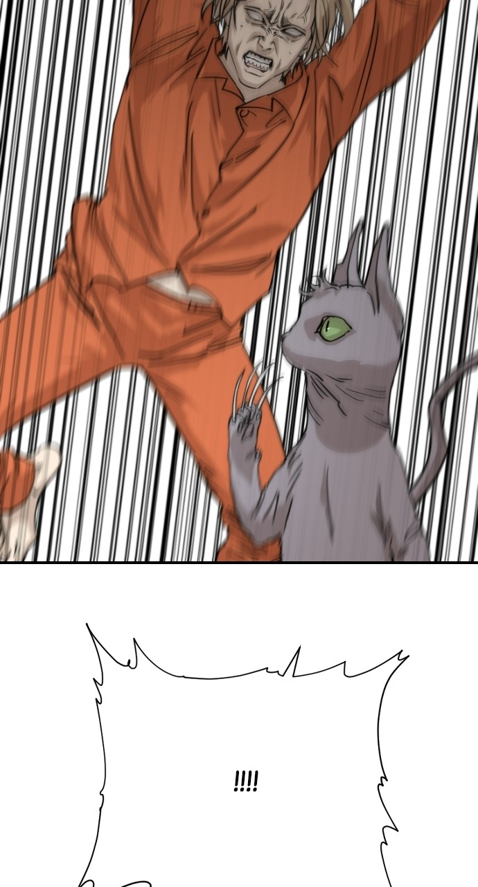 Read Meow Rangers Manga Online