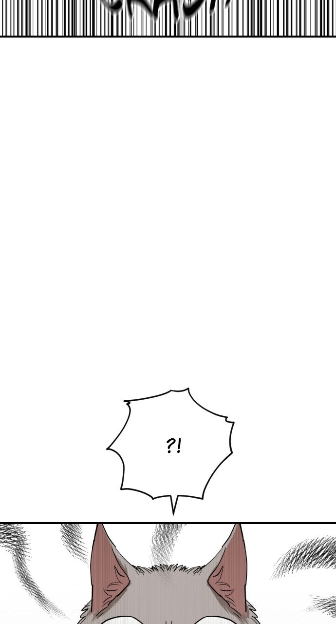 Read Meow Rangers Manga Online