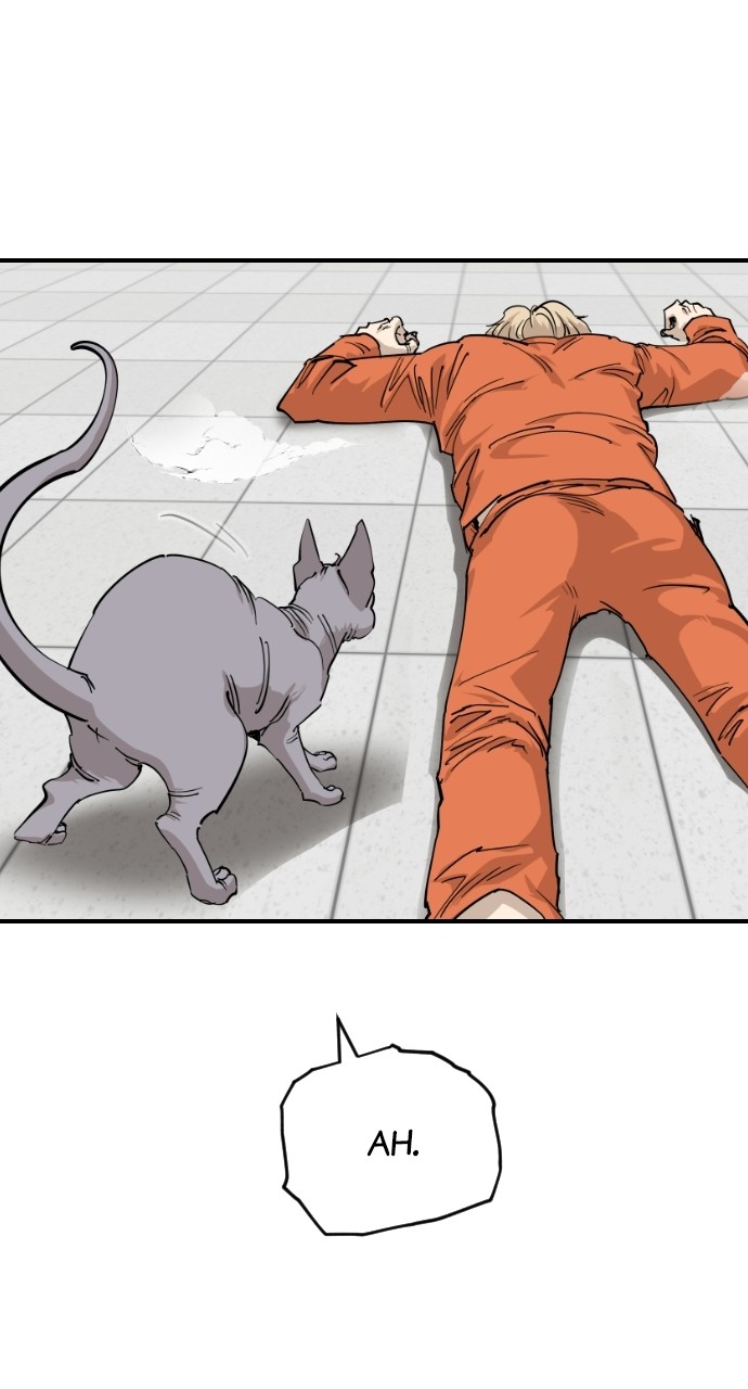 Read Meow Rangers Manga Online
