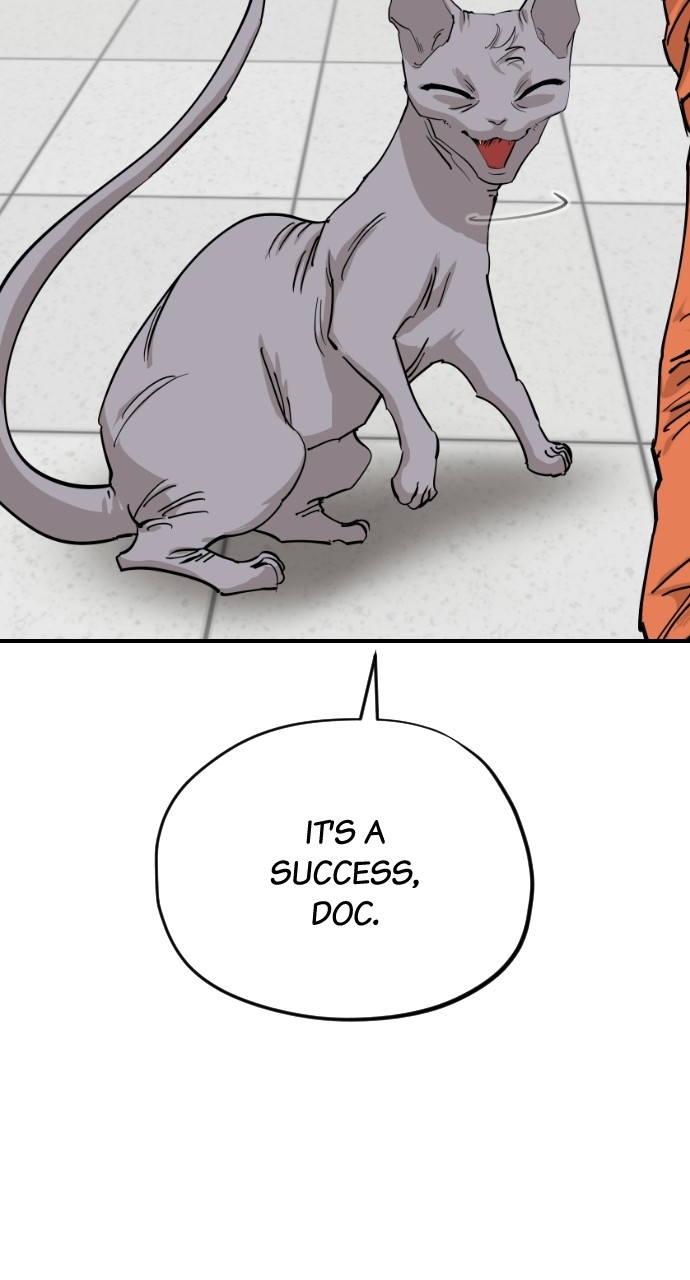 Read Meow Rangers Manga Online