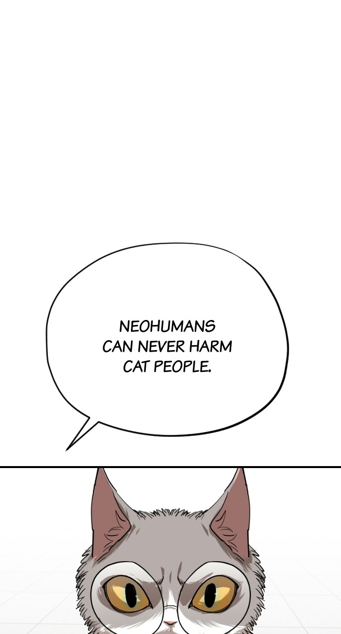 Read Meow Rangers Manga Online