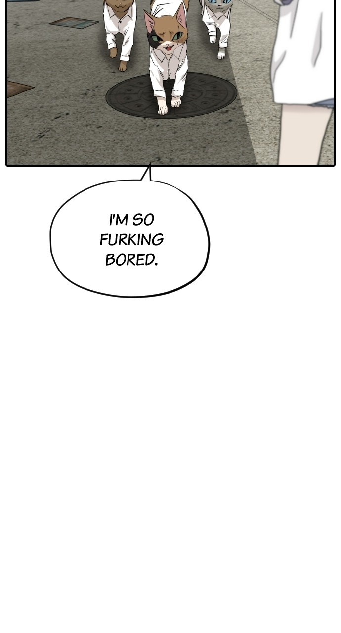Read Meow Rangers Manga Online