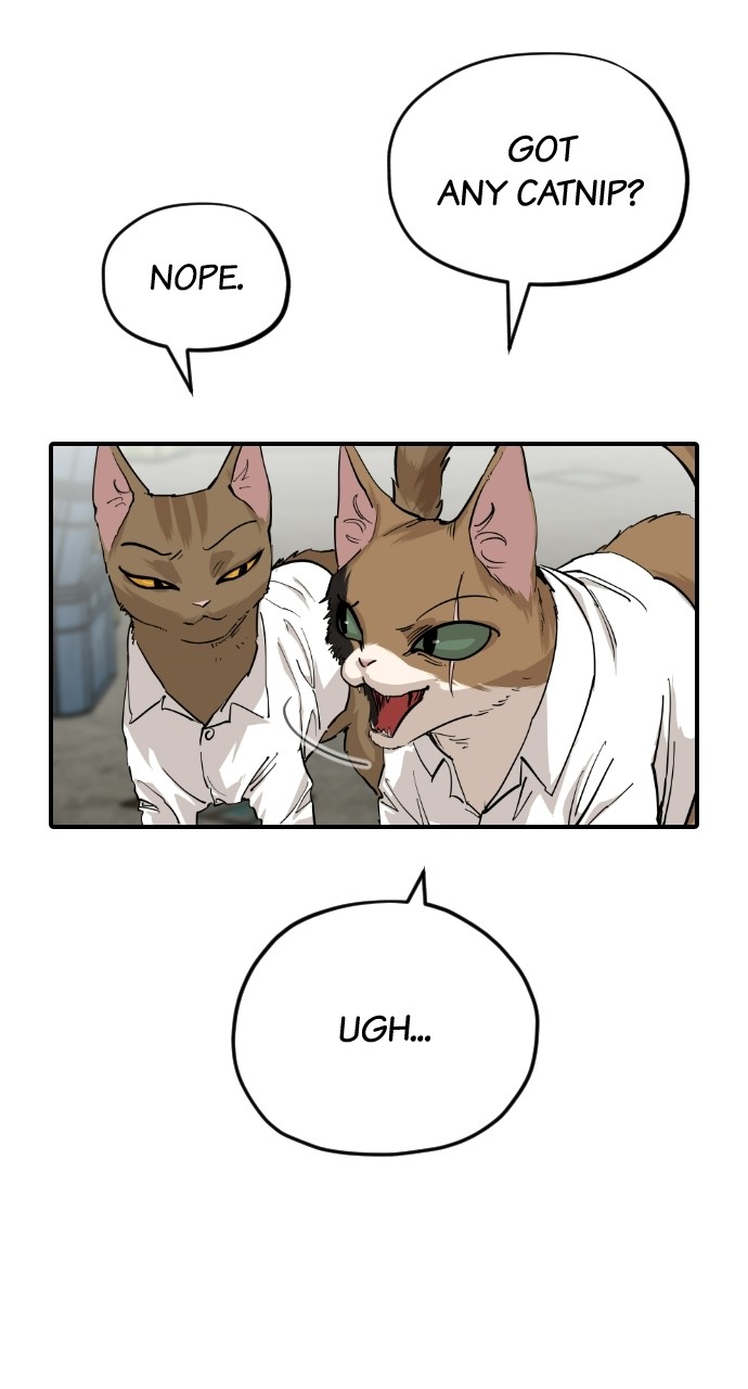 Read Meow Rangers Manga Online