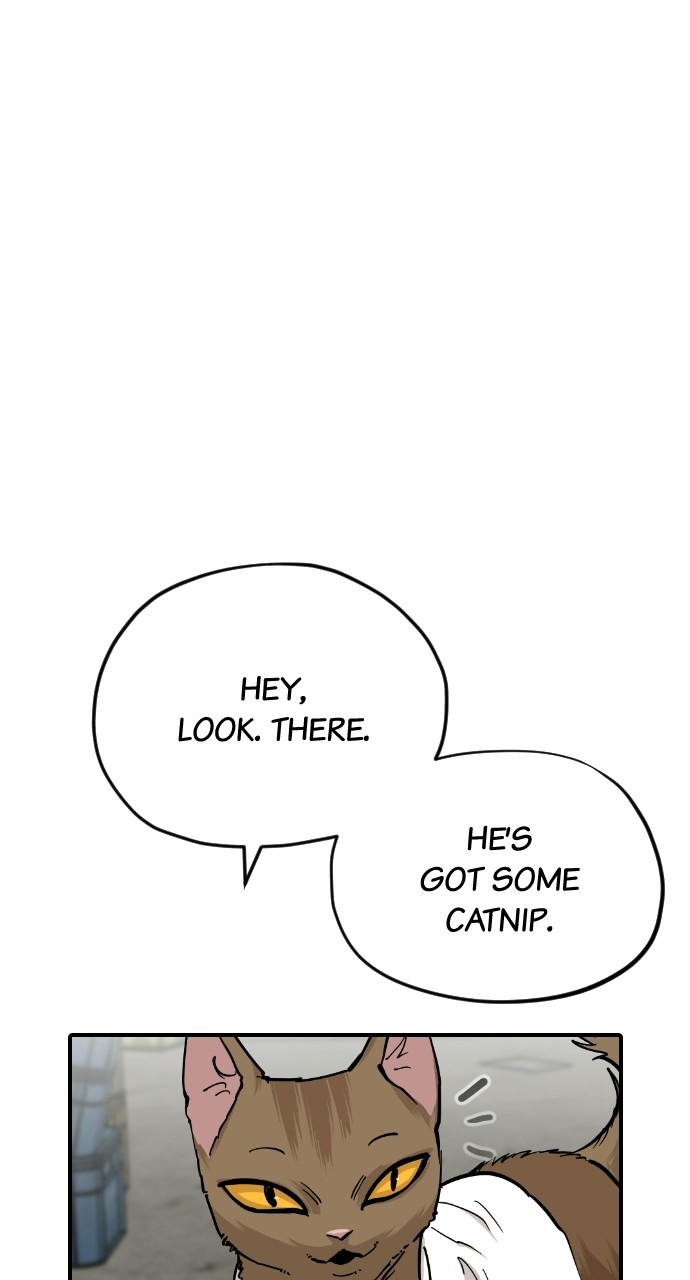 Read Meow Rangers Manga Online