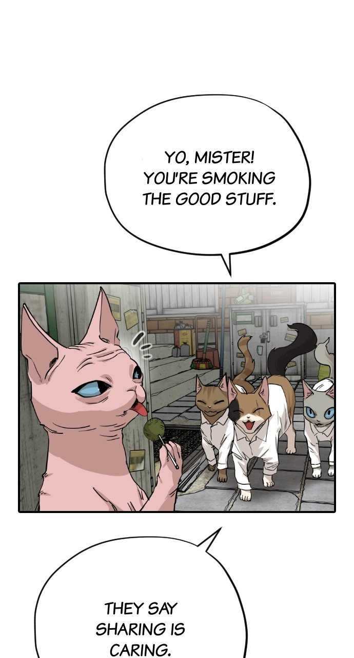Read Meow Rangers Manga Online