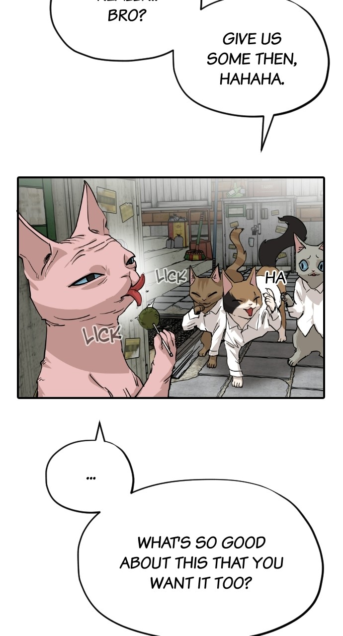 Read Meow Rangers Manga Online