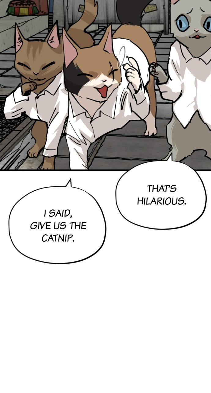 Read Meow Rangers Manga Online