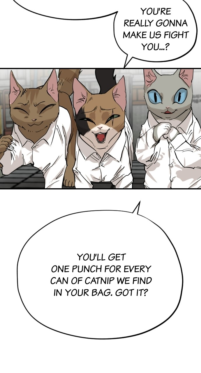 Read Meow Rangers Manga Online