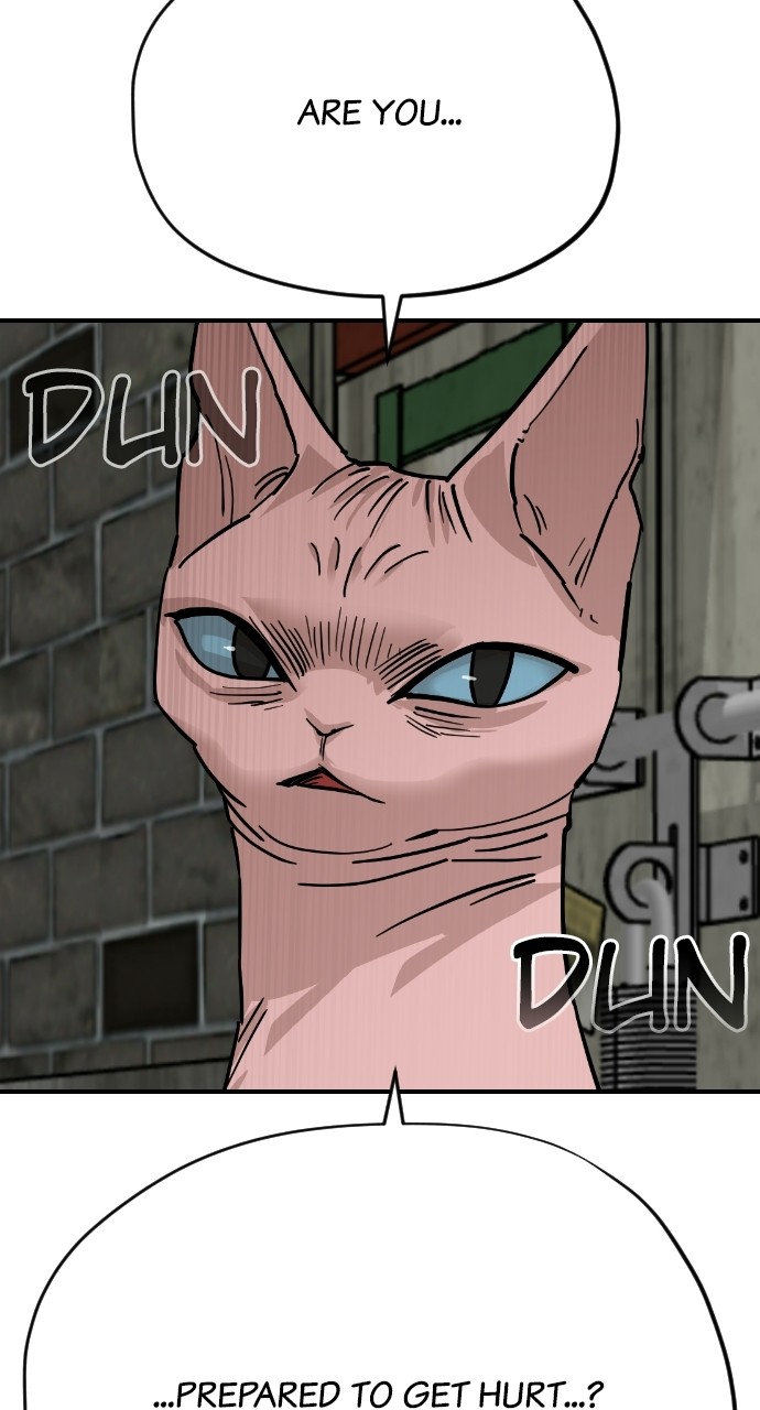 Read Meow Rangers Manga Online