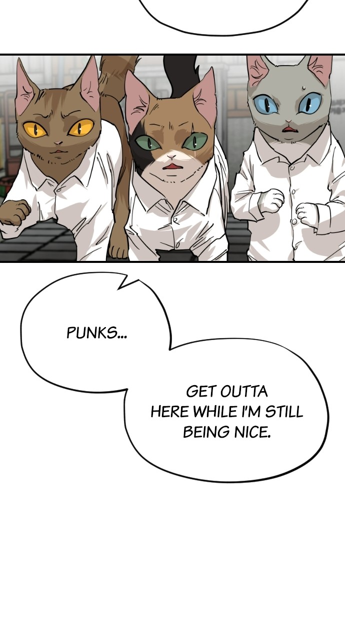 Read Meow Rangers Manga Online