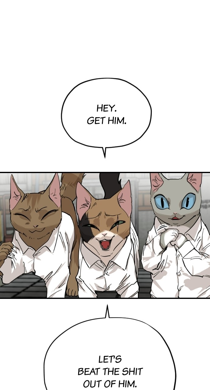 Read Meow Rangers Manga Online