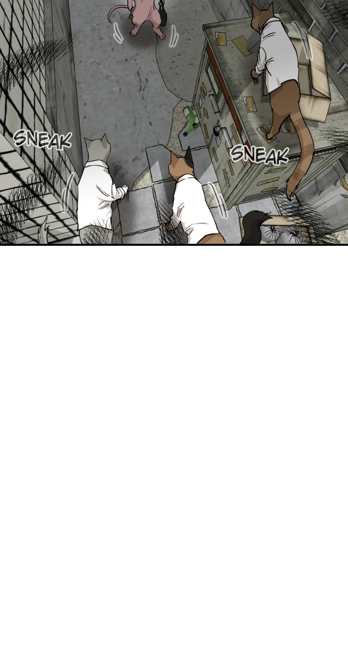 Read Meow Rangers Manga Online