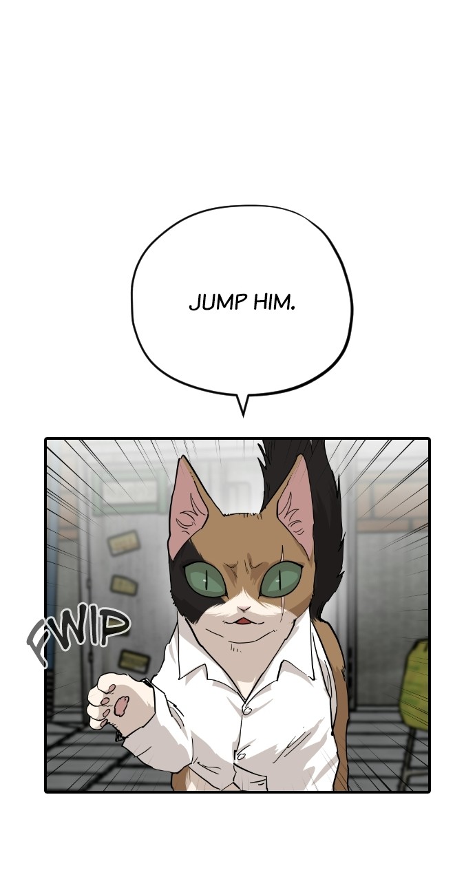 Read Meow Rangers Manga Online