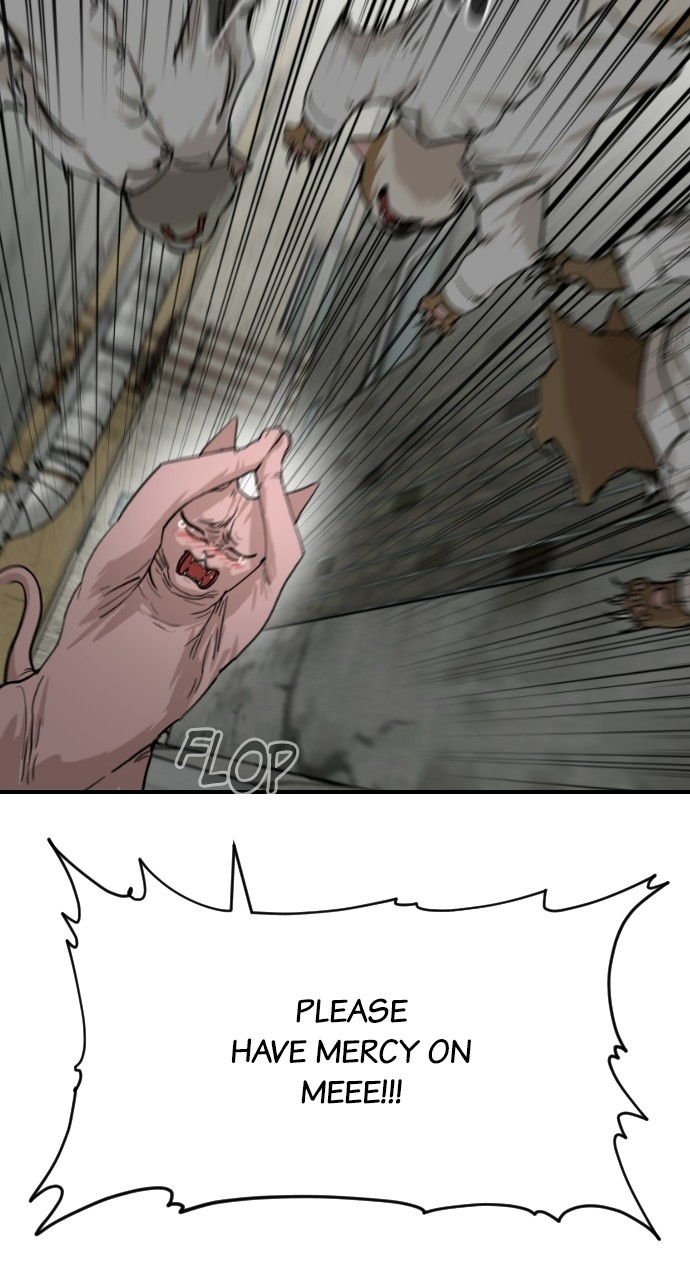 Read Meow Rangers Manga Online