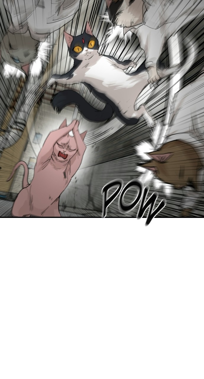 Read Meow Rangers Manga Online