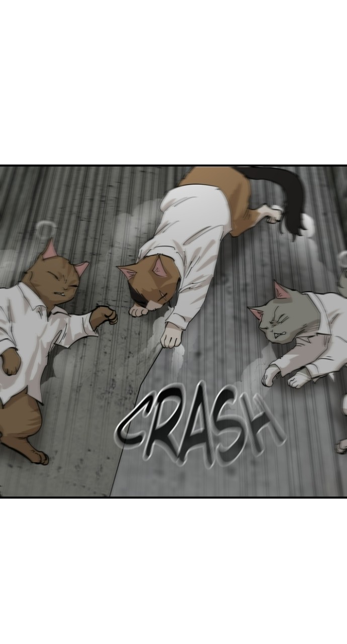 Read Meow Rangers Manga Online