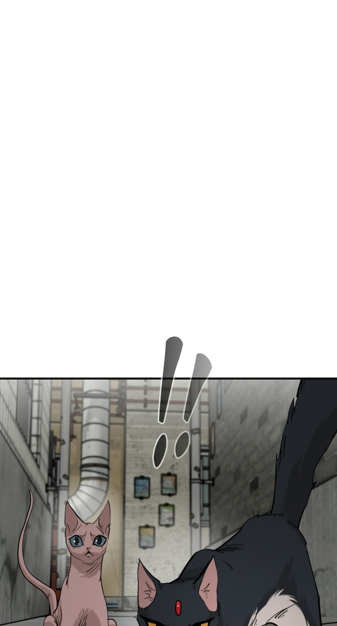 Read Meow Rangers Manga Online