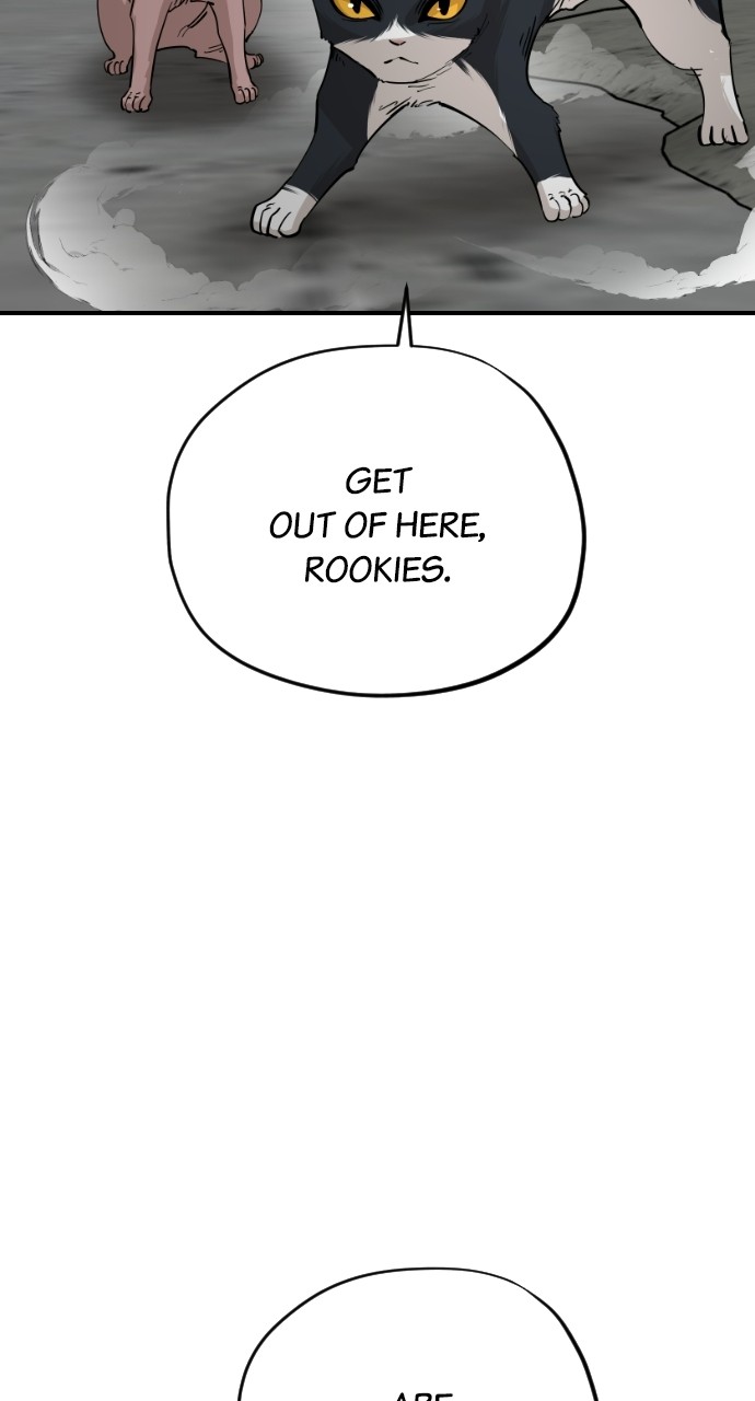 Read Meow Rangers Manga Online