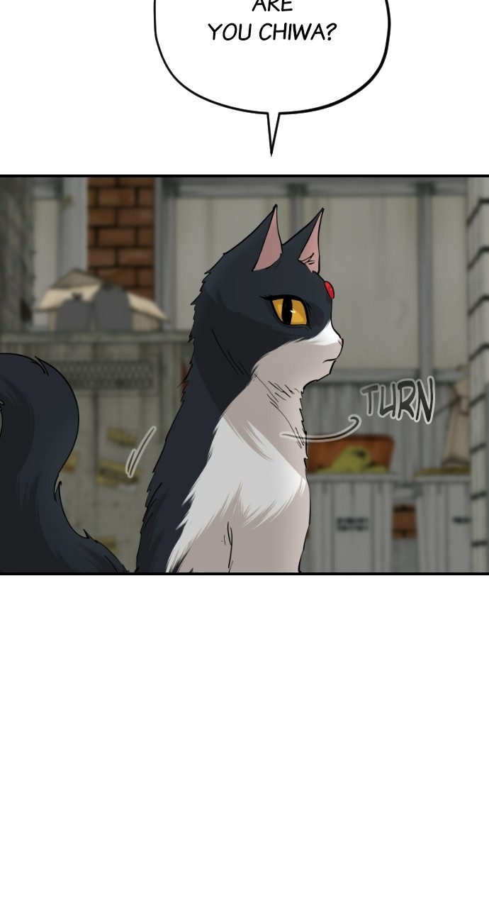 Read Meow Rangers Manga Online