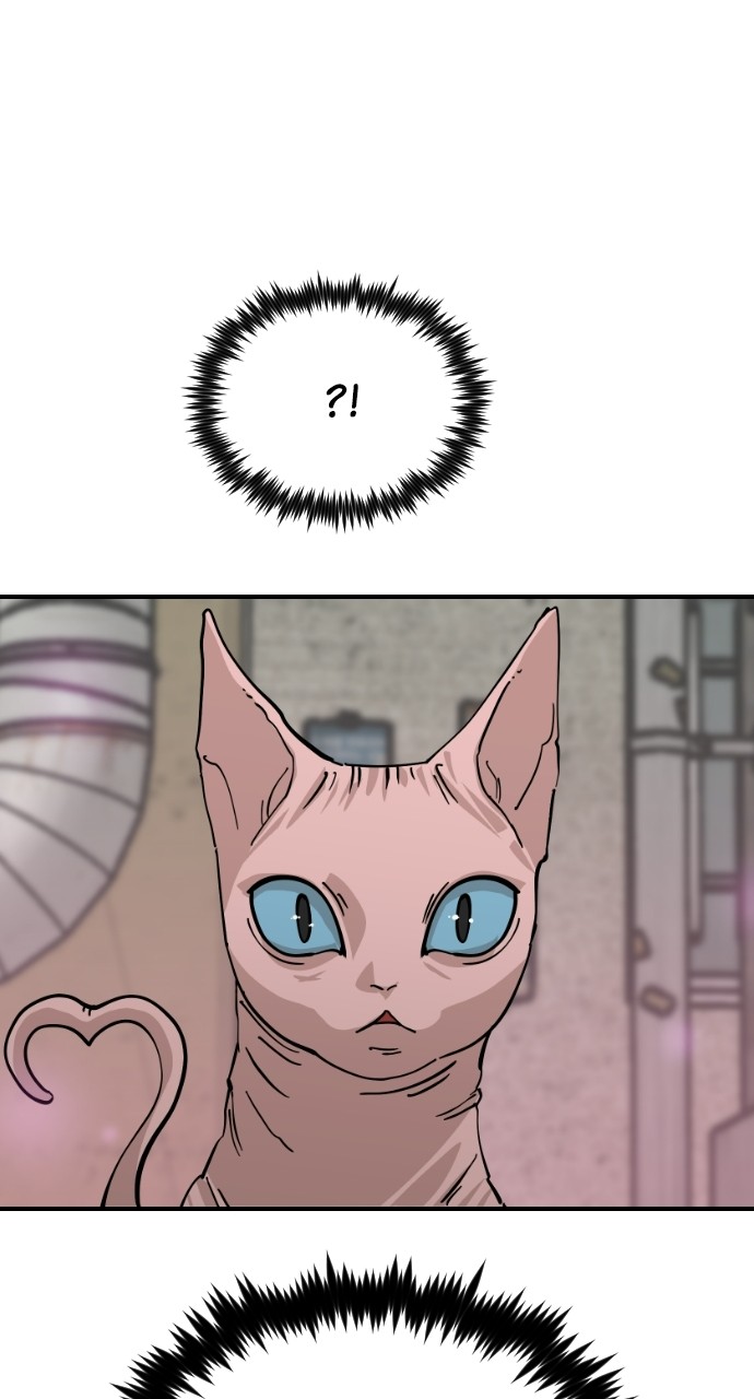 Read Meow Rangers Manga Online